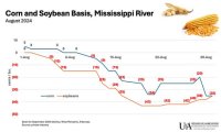 corn and soybean basis 2024